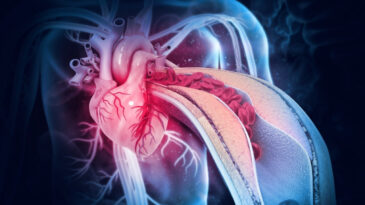 Tıp Dünyasında Çığır Açan Keşif: Kalp Kendi Kendini Onarabilir