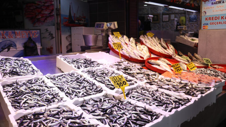 Trabzon'da Hamsi Fiyatları Bir G&uuml;nde Y&uuml;zde 50 Artış G&ouml;sterdi: &ldquo;Daha da Y&uuml;kselecek&rdquo;
