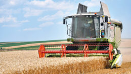 T&uuml;rkiye'nin Hububat İhracatında D&uuml;ş&uuml;ş Yaşandı