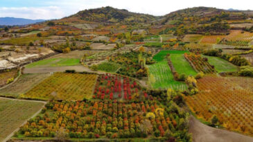 Uludağ eteklerinde sonbahar ş&ouml;leni: Renk c&uuml;mb&uuml;ş&uuml; hayran bıraktı