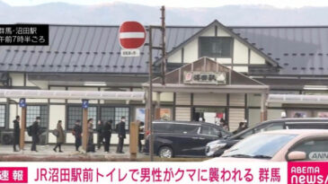 Umumi Tuvaletten &Ccedil;ıkan Adama Ayı Saldırdı