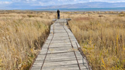 Van G&ouml;l&uuml; Tehlike Altında