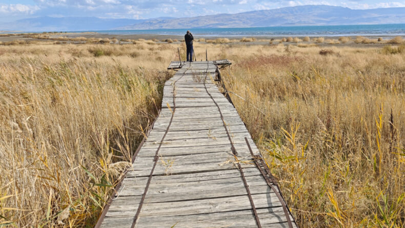 Van Gölü Tehlike Altında