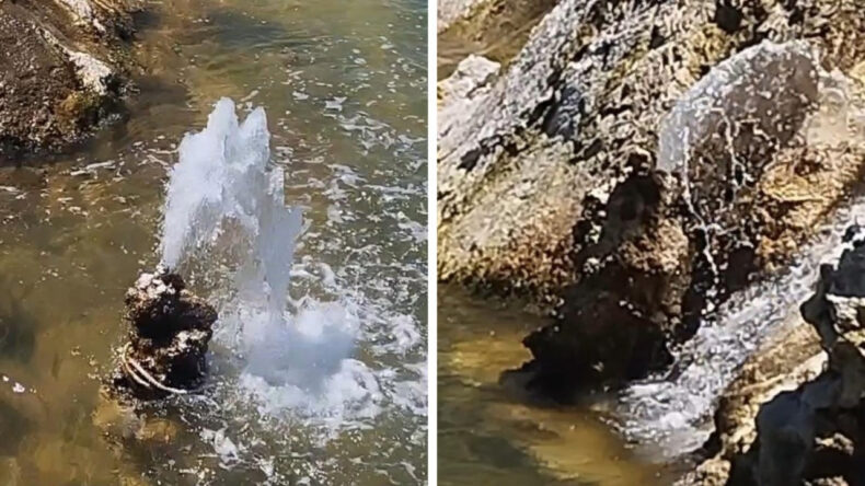 Van Gölü’nde Şaşırtıcı Doğa Olayı: Tatlı Su Fışkırıyor