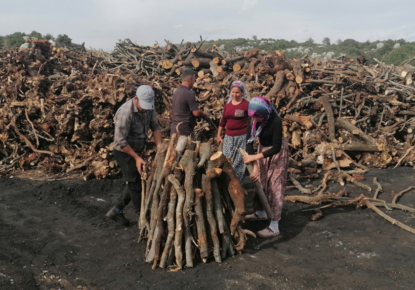Mangal kömürü üretimi