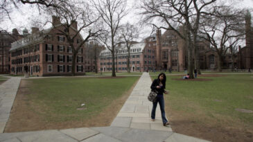 Yale'de Kimlik Dolandırıcılığı Skandalı: Ge&ccedil;mişini Sahteleyerek &Uuml;niversiteye Giriş Yaptı