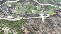 Yanan Ormana Paraş&uuml;tle Tohum Atışı