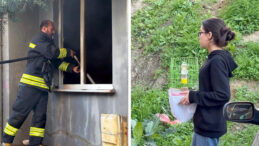 Yangın, Dumanların Kapladığı Apartmandaki Evlerden Kuşuyla Birlikte Çıkan Kız Çocuğu