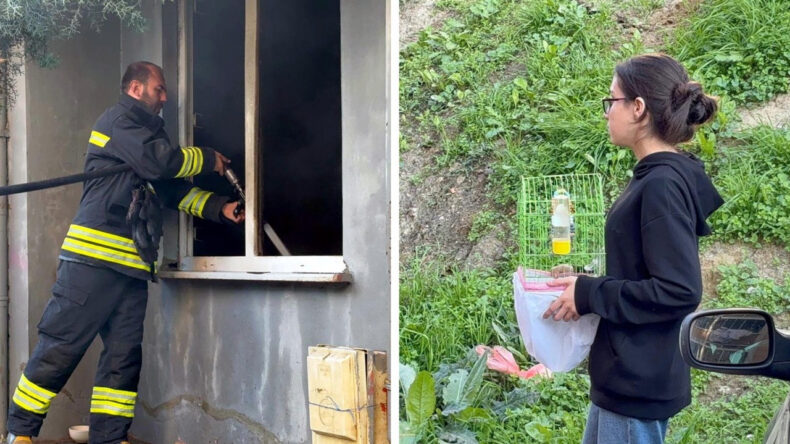 Yangın, Dumanların Kapladığı Apartmandaki Evlerden Kuşuyla Birlikte Çıkan Kız Çocuğu