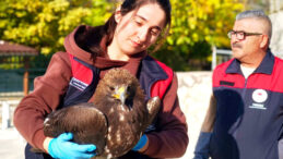 Yaralı Kartala Vatandaşlardan Destek