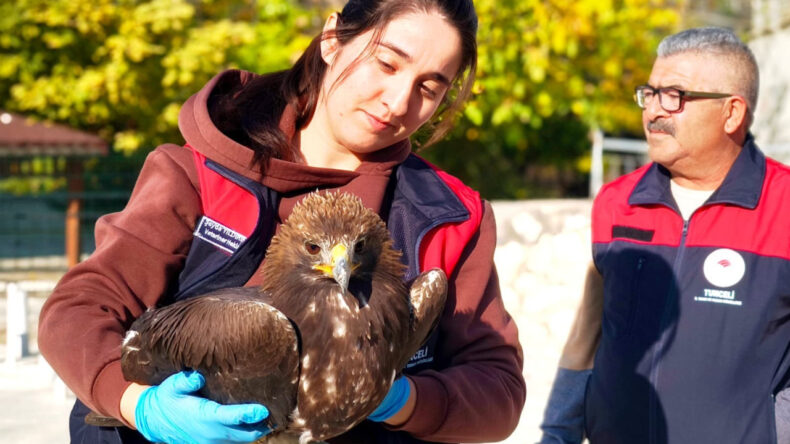 Yaralı Kartala Vatandaşlardan Destek
