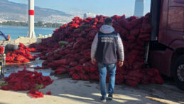 Yasa Dışı Midye Avcılığına Geçit Yok!