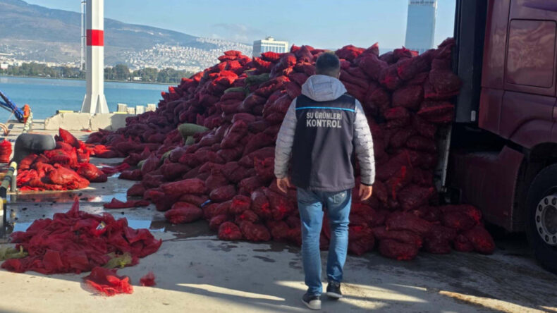 Yasa Dışı Midye Avcılığına Geçit Yok!