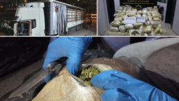 Yurtdışından Gelen TIR'da 223 Kilogram Uyuşturucu Ele Ge&ccedil;irildi