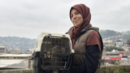 Zonguldak’ta Kaybolan Kedi Mermi İle Yaralanmış Bulundu