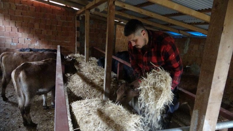 'Almanya&rsquo;da robot olacağıma, k&ouml;y&uuml;mde &ccedil;oban olurum'
