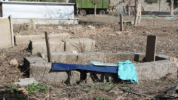 '&Ouml;ld&uuml;' Denilen Bebek, Defin Yolunda Ağlayınca Yaşadığı Ortaya &Ccedil;ıktı