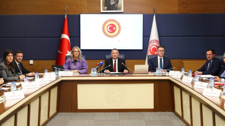 'SDG'nin Suriye ile entegrasyonu kritik bir öneme sahiptir'