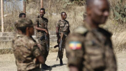 200'den Fazla Militan H&uuml;k&uuml;met G&uuml;&ccedil;lerine Teslim Oldu