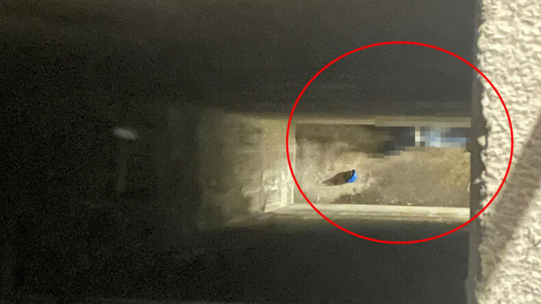 25 Metreden Düşerek Hayatını Kaybetti