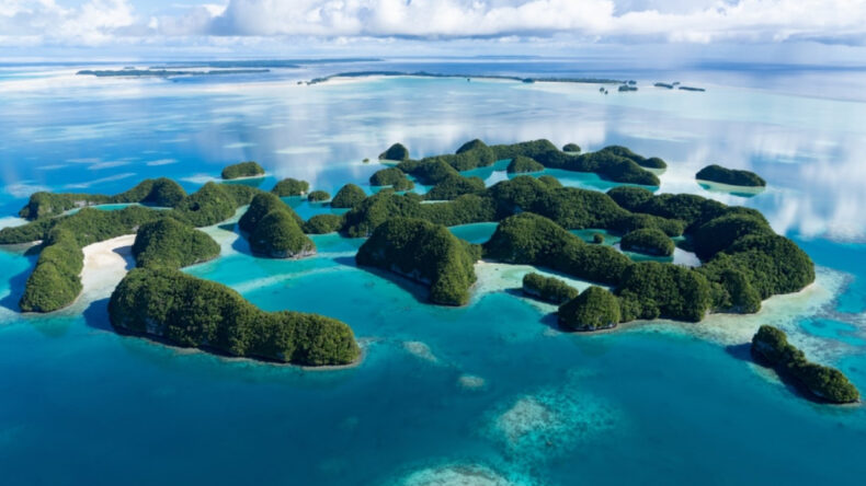 321 Milyon TL'ye Anlaştılar: G&ouml;&ccedil;menler 'Survivor' Adasına G&ouml;nderilecek