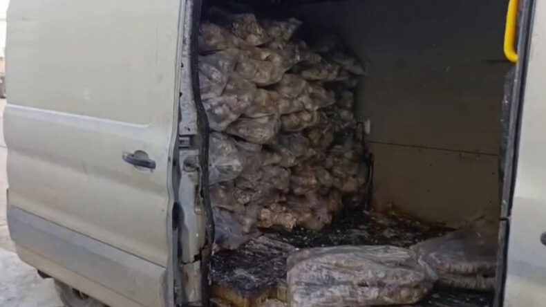 4 Milyon TL Değerinde Bozulmuş Kokore&ccedil; Ele Ge&ccedil;irildi