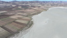 40 Yılda Y&uuml;zde 94 Kayıp! Kuş Cenneti'nden Geriye Sessizlik Kaldı