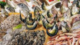 482 Ton Deniz &Uuml;r&uuml;n&uuml;ne El Konuldu