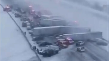 50 Ara&ccedil; &Ccedil;arpıştı