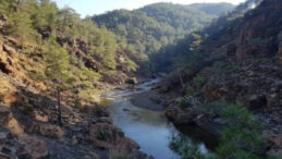 92 Bin Ağa&ccedil; Kesilecekti, Mahkeme "Dur" Dedi