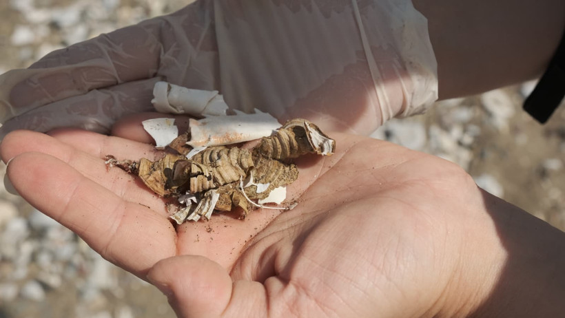 Mikroplastik Kirliliği