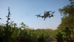 ABD Yabancı Dronları Yasakladı