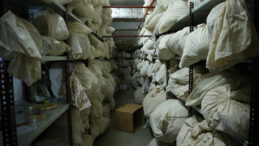 Adli Emanetler Allah'a Emanet: Yeni Bir Soygun Olayı