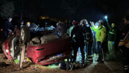 Ağaca &Ccedil;arpan Otomobilin S&uuml;r&uuml;c&uuml;s&uuml; Hayatını Kaybetti