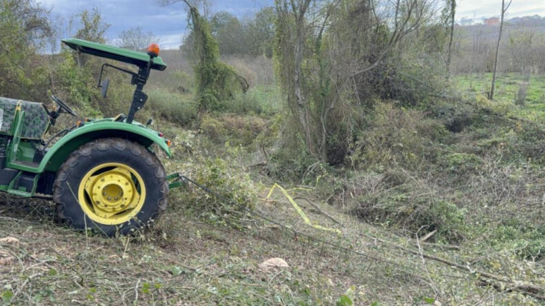 Ağa&ccedil; kesen komşusuna yardım ederken hayatını kaybetti