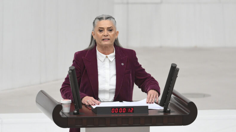 AKP'li Vekillerin Alkışladığı Sibel Sui&ccedil;mez: "Sizin Adınıza Utanıyorum"