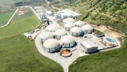 ARF Bio Halka Arz Ediyor