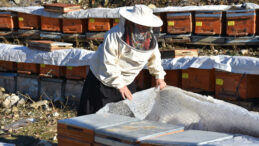 Arıcılıkla Beş &Ccedil;ocuğuna &Uuml;niversite Eğitimi Sağladı