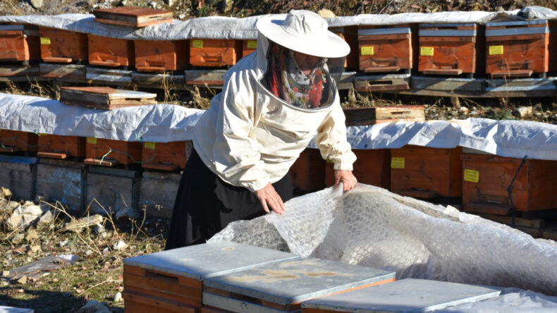 Arıcılıkla Beş &Ccedil;ocuğuna &Uuml;niversite Eğitimi Sağladı