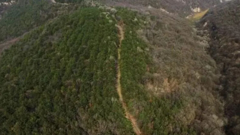 Arkeologlar 2200 Yıllık Antik Yolu Ortaya &Ccedil;ıkardı