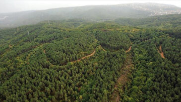 Arsa Alma Hayalleri K&acirc;busa D&ouml;n&uuml;şen 40 Milyon TL'lik Dolandırıcılık