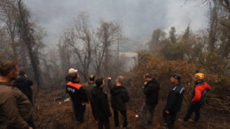 Artvin'de 5 Hektar Alan Alev Alev Yandı