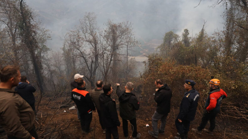 Artvin'de 5 Hektar Alan Alev Alev Yandı