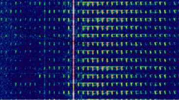 Avrupa'da Savaş Alarmı: 'Kıyamet Radyosu' Gizemli Mesajlar Yayınladı