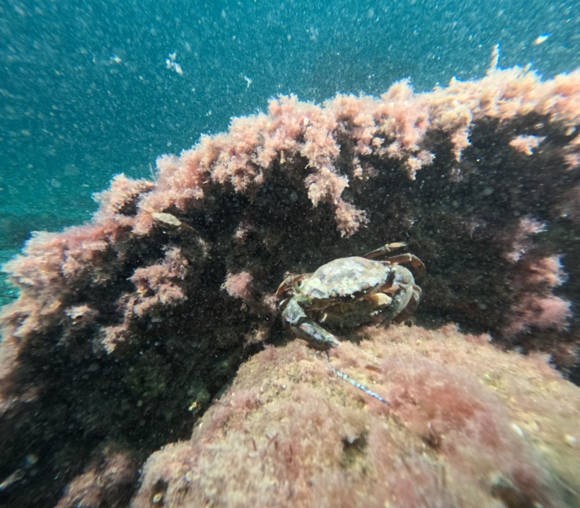 Marmara Denizi Çalışmaları