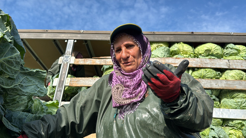 Kadın işçiler tarlada çalışıyor