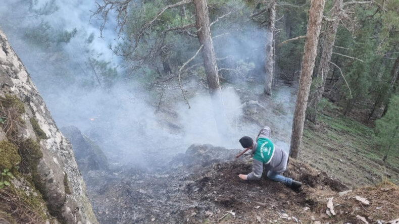 Aydın'da Orman Yangını Çıktı