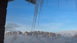 Bı&ccedil;ak Gibi Sarkıyorlar: Boyu &Uuml;&ccedil; Metreyi Buldu