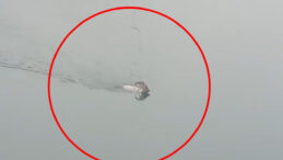 Bing&ouml;l'den Elazığ'a Y&uuml;zerek Ge&ccedil;ti