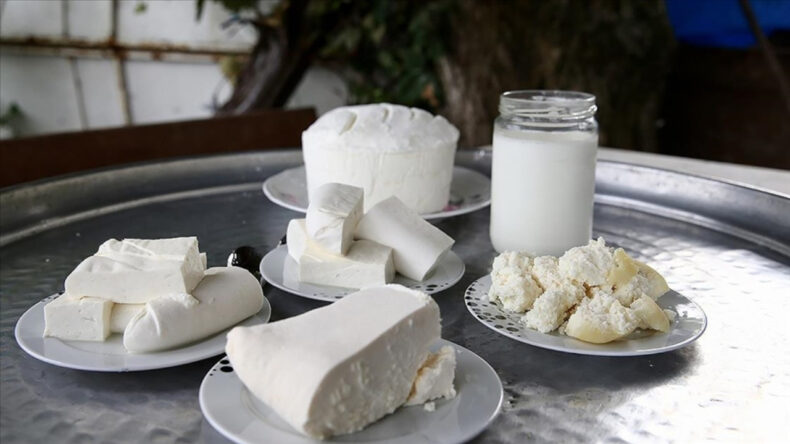 Bodrum'da Gizli Depo: 2,4 Ton Peynir ve Tereyağına El Konuldu